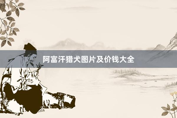 阿富汗猎犬图片及价钱大全